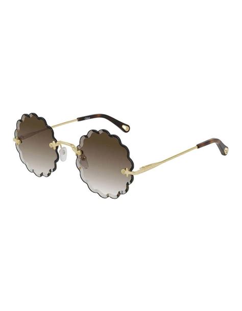 chloe rosie sunglasses brown|Rosie Petite sunglasses .